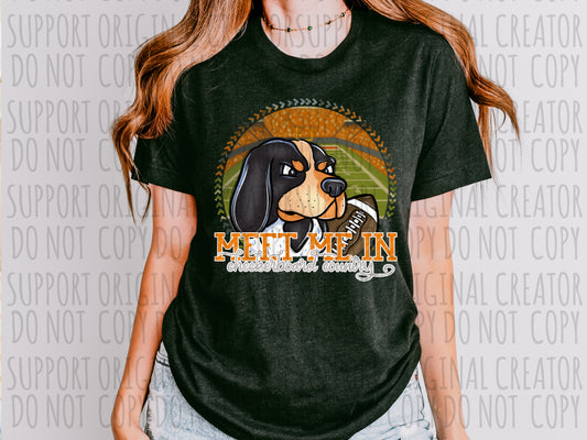 Meet Me in Checkerboard Country Tennessee Football Mascot Tee