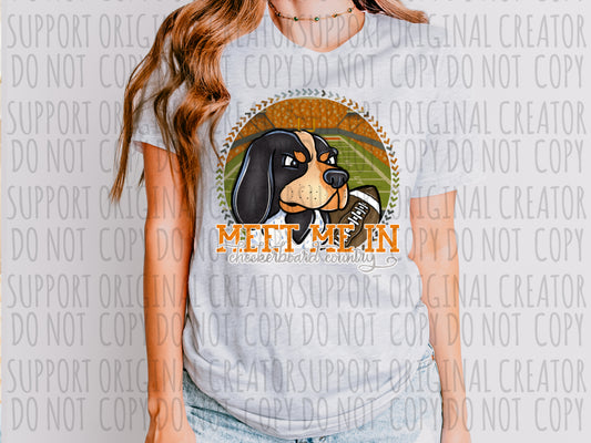 Meet Me in Checkerboard Country Tennessee Football Mascot Tee